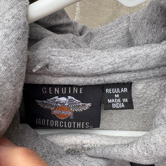 Harley-Davidson Men's Block Letter Colorblocked Pullover Hoodie Mens Medium - Picture 4 of 5